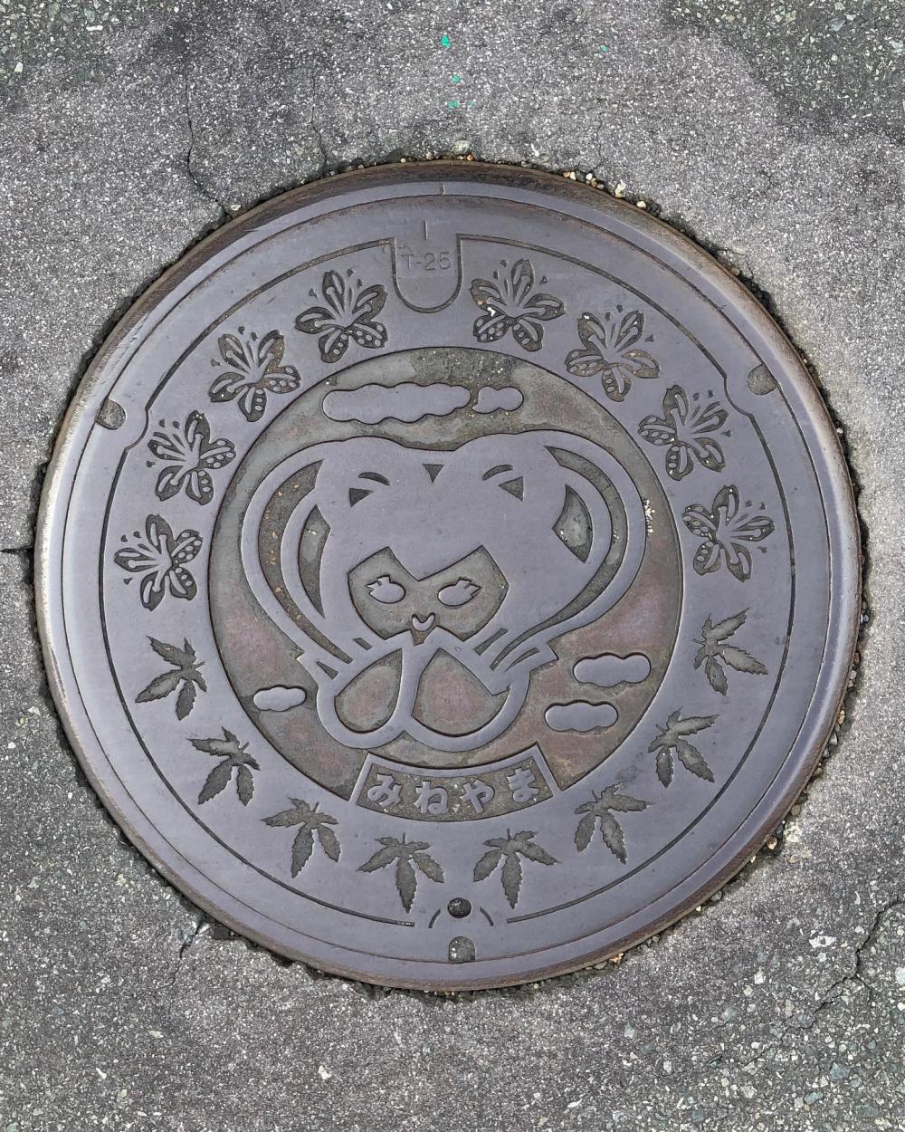 Image6