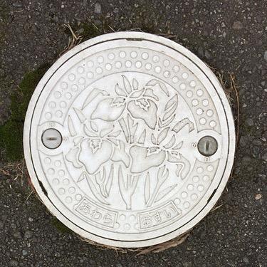 Image1