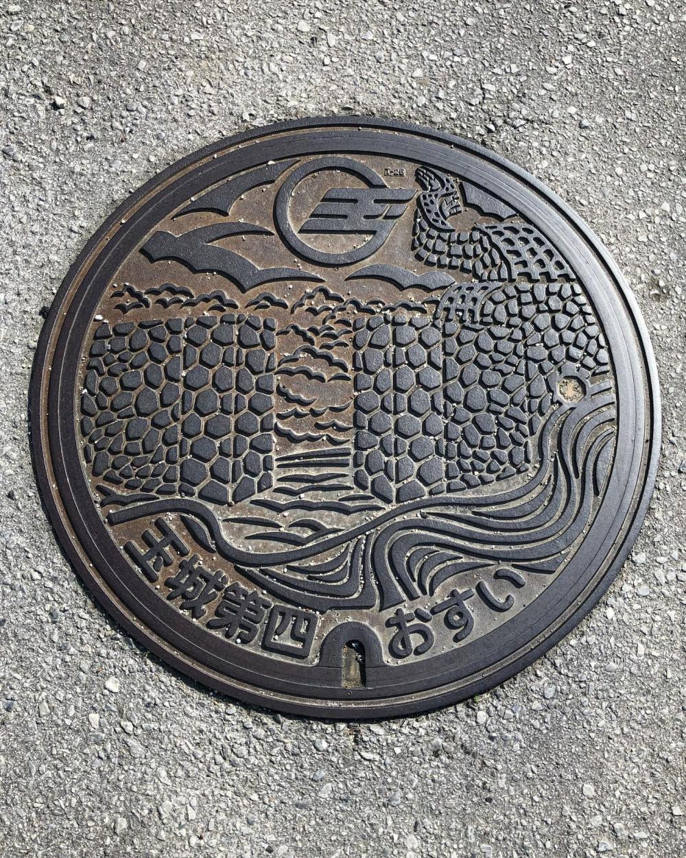 Image5