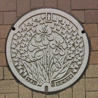 Image15