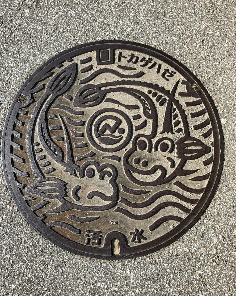 Image18