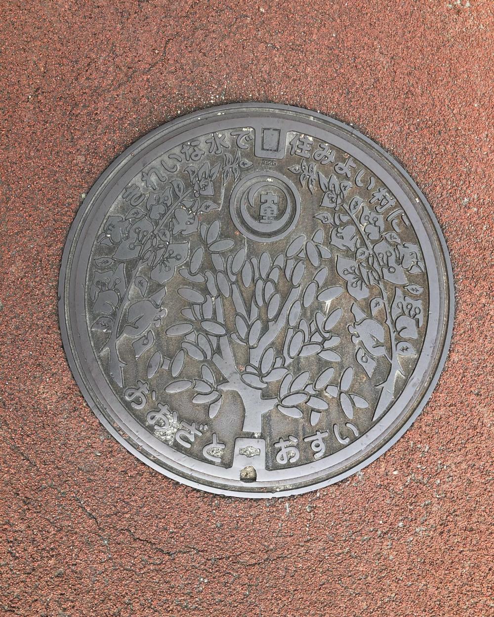 Image17