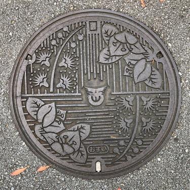 Image12