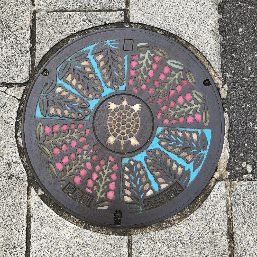 Image5