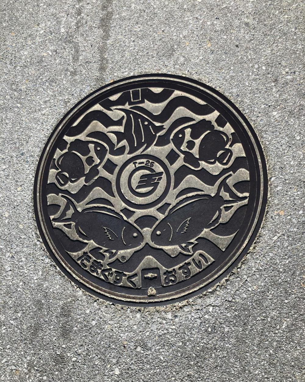 Image4