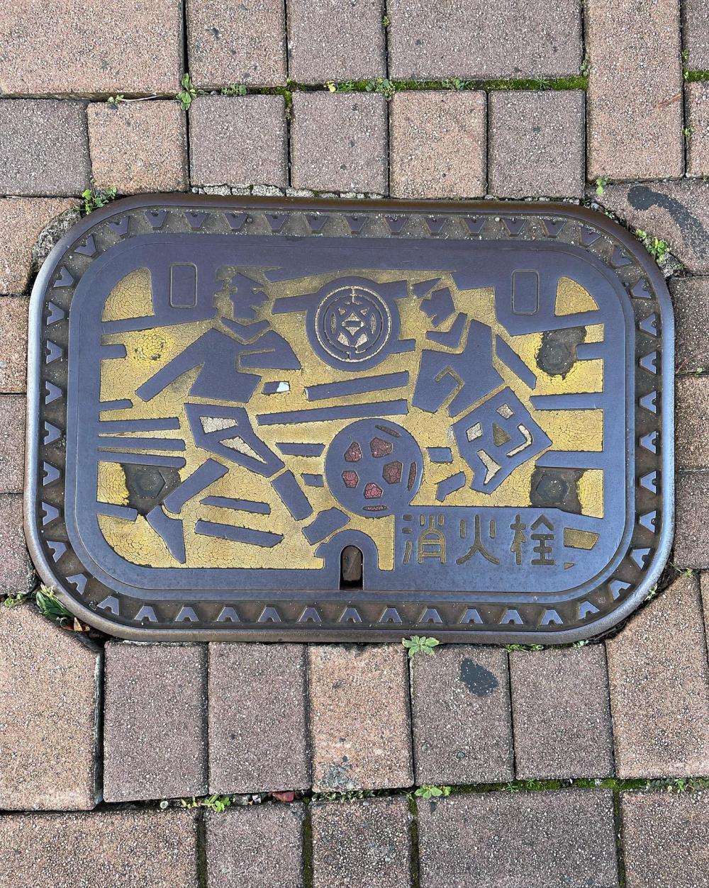 Image15