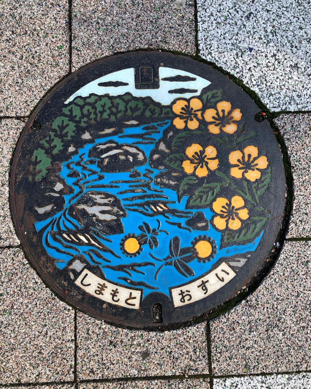 Image4