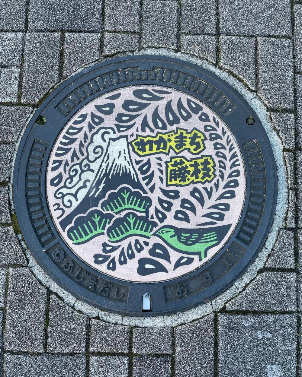 Image7