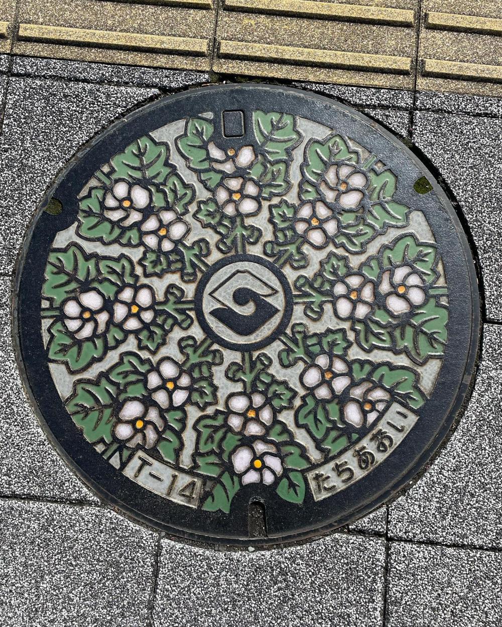 Image15