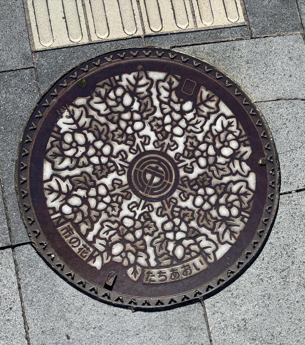 Image4