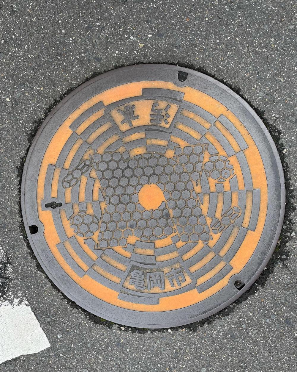 Image4
