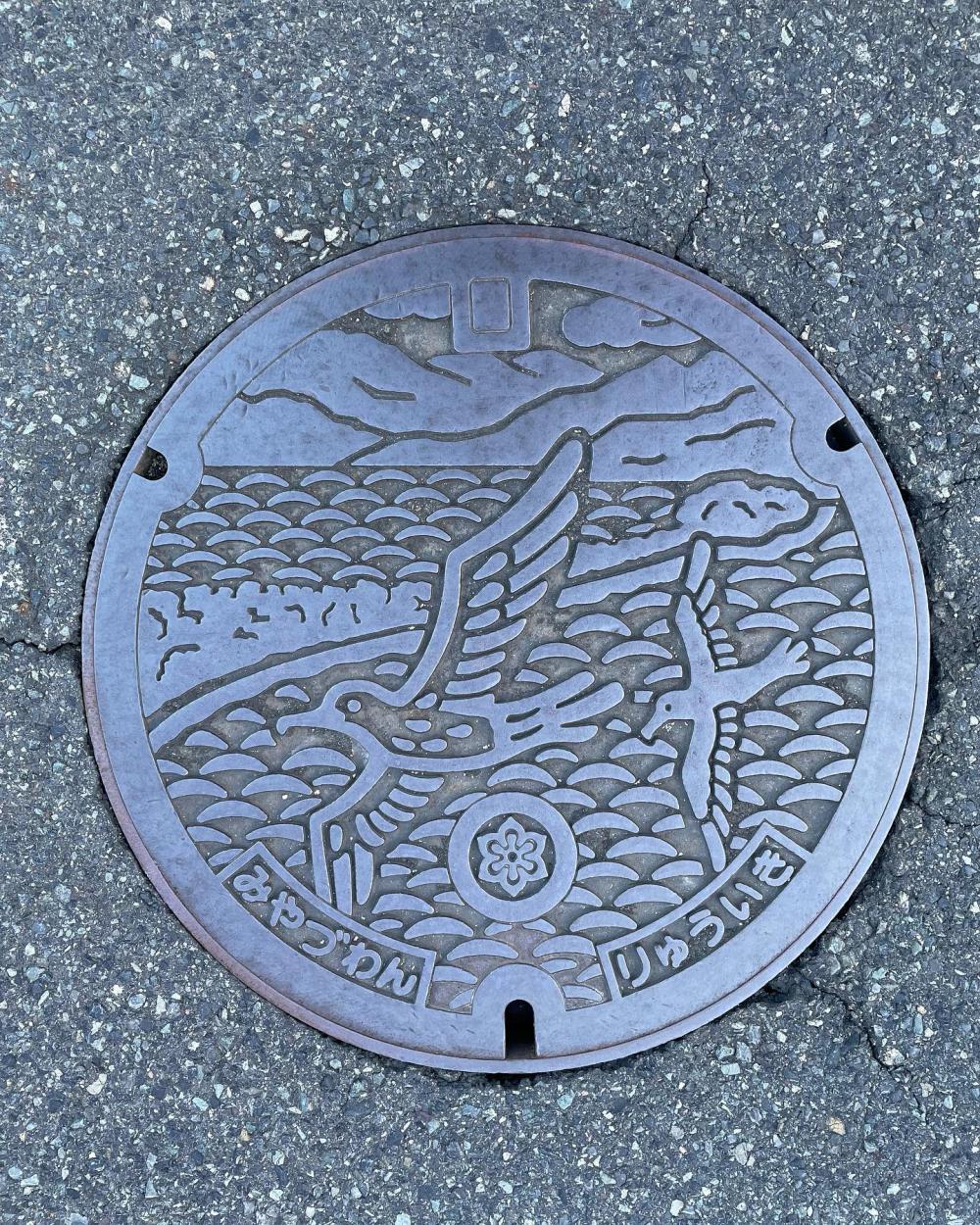 Image8
