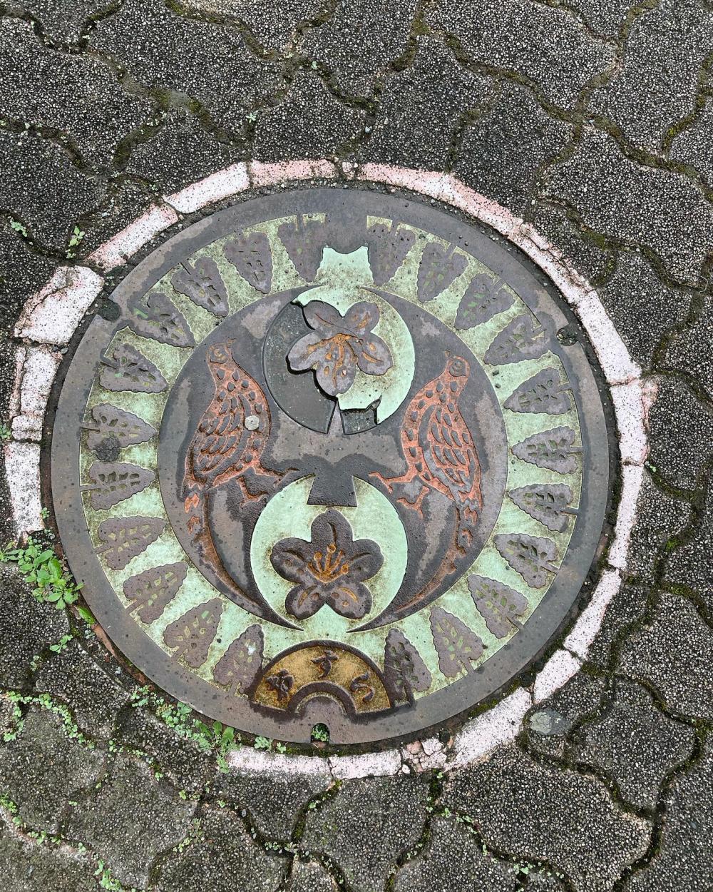 Image1