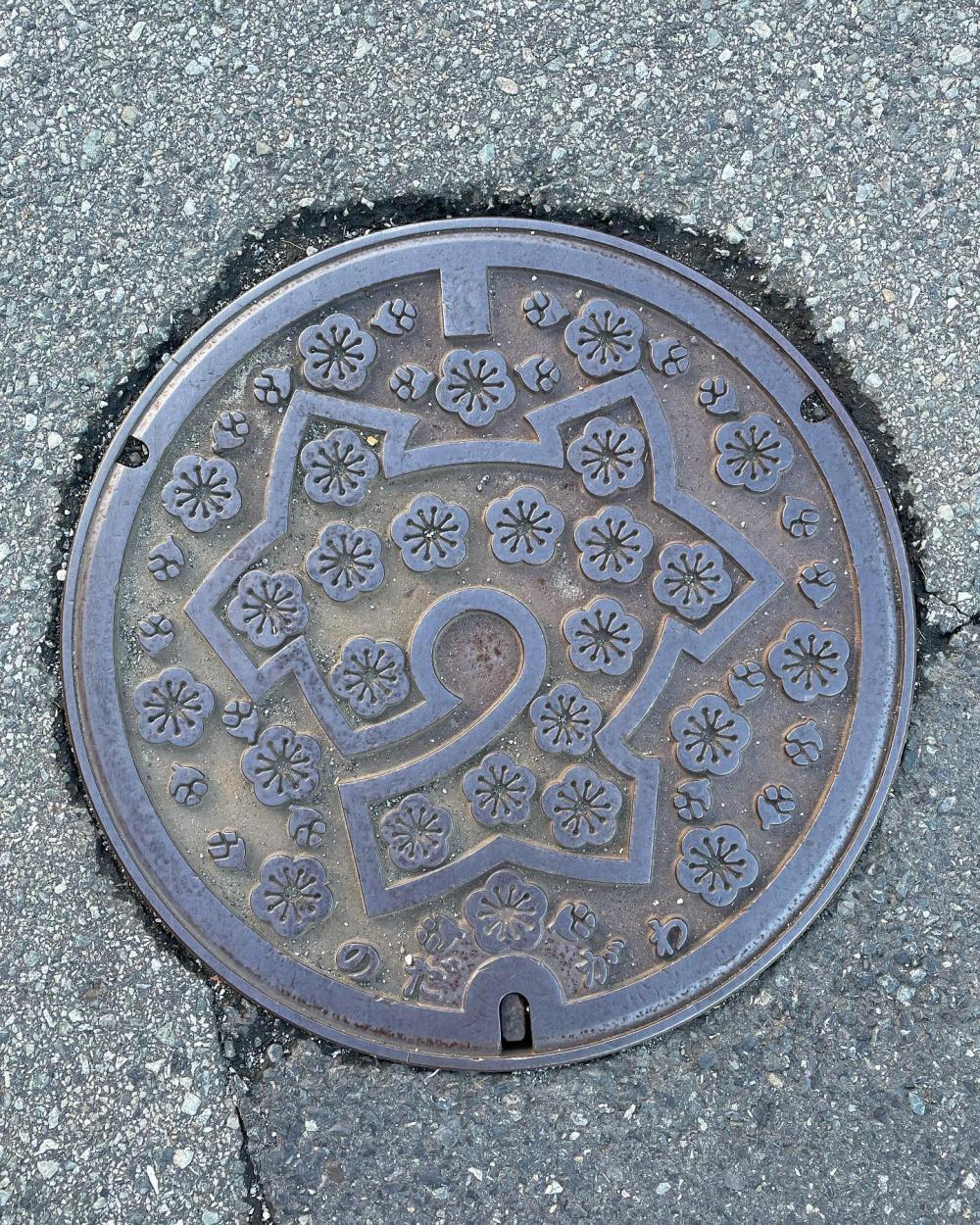 Image7