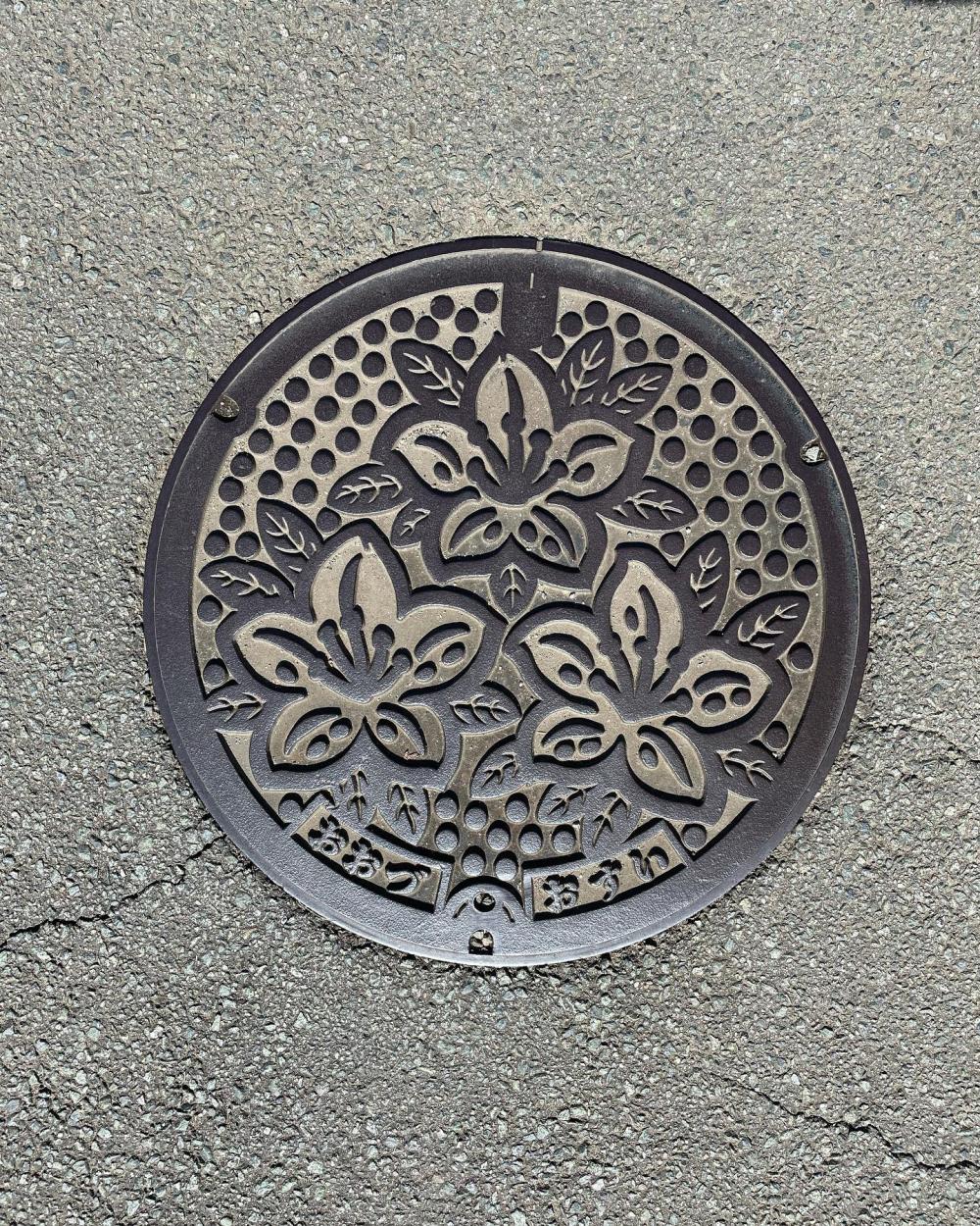 Image4