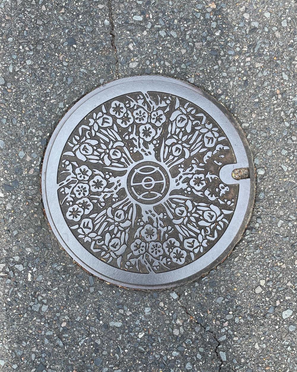 Image6