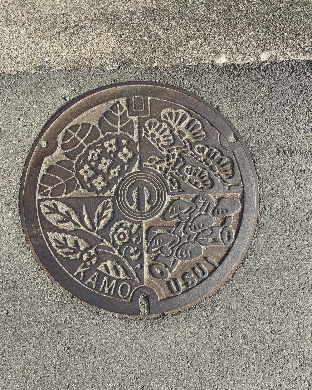 Image15