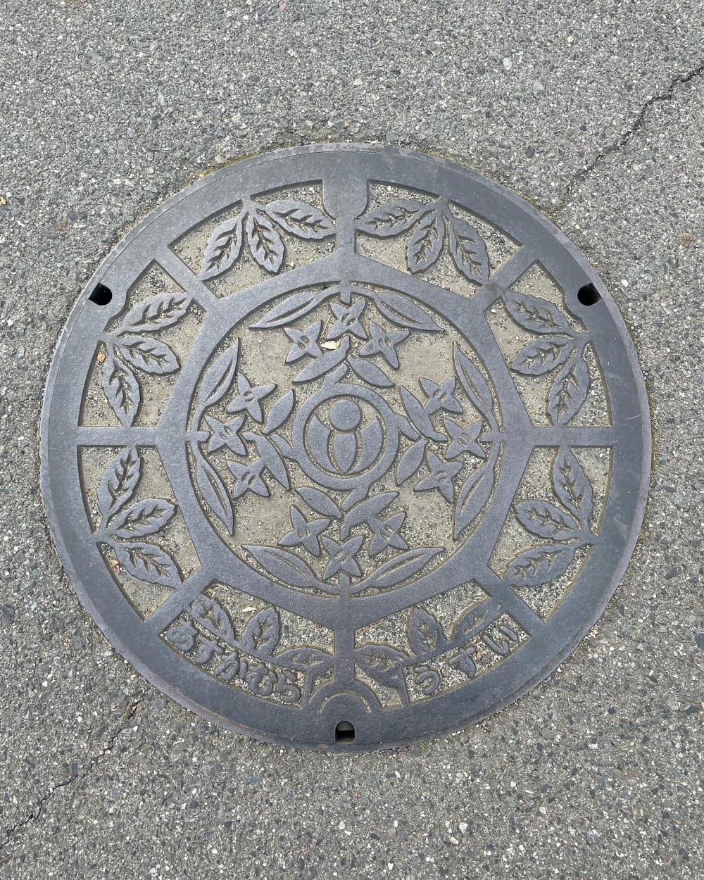Image6