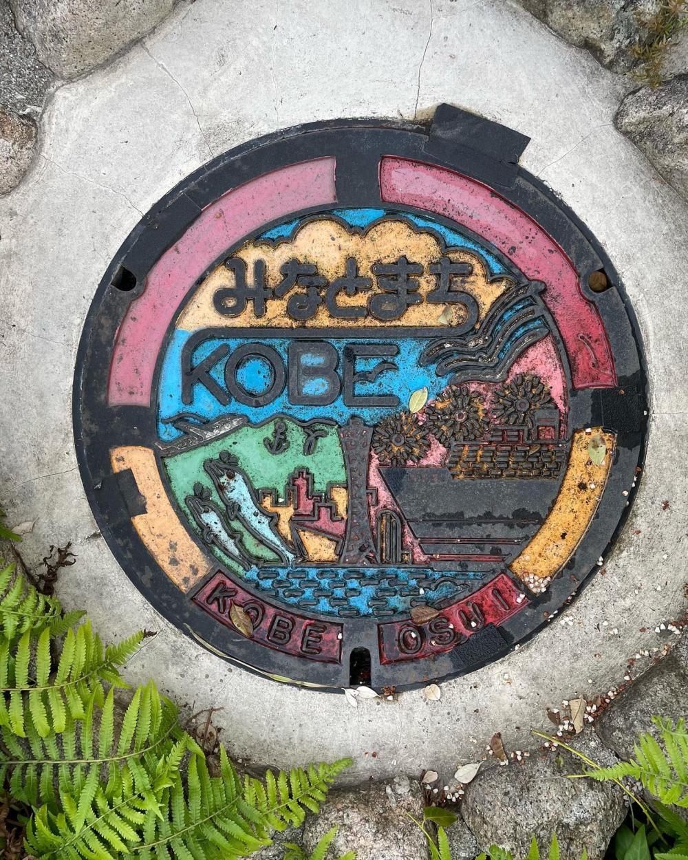 Image6