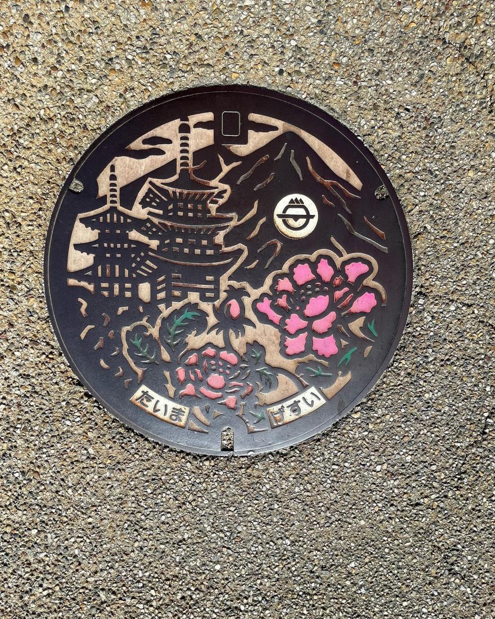 Image12