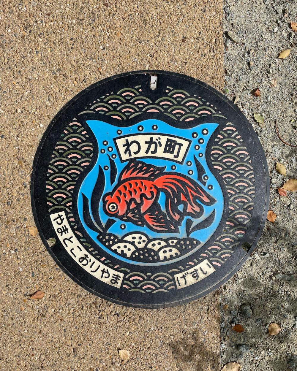 Image4