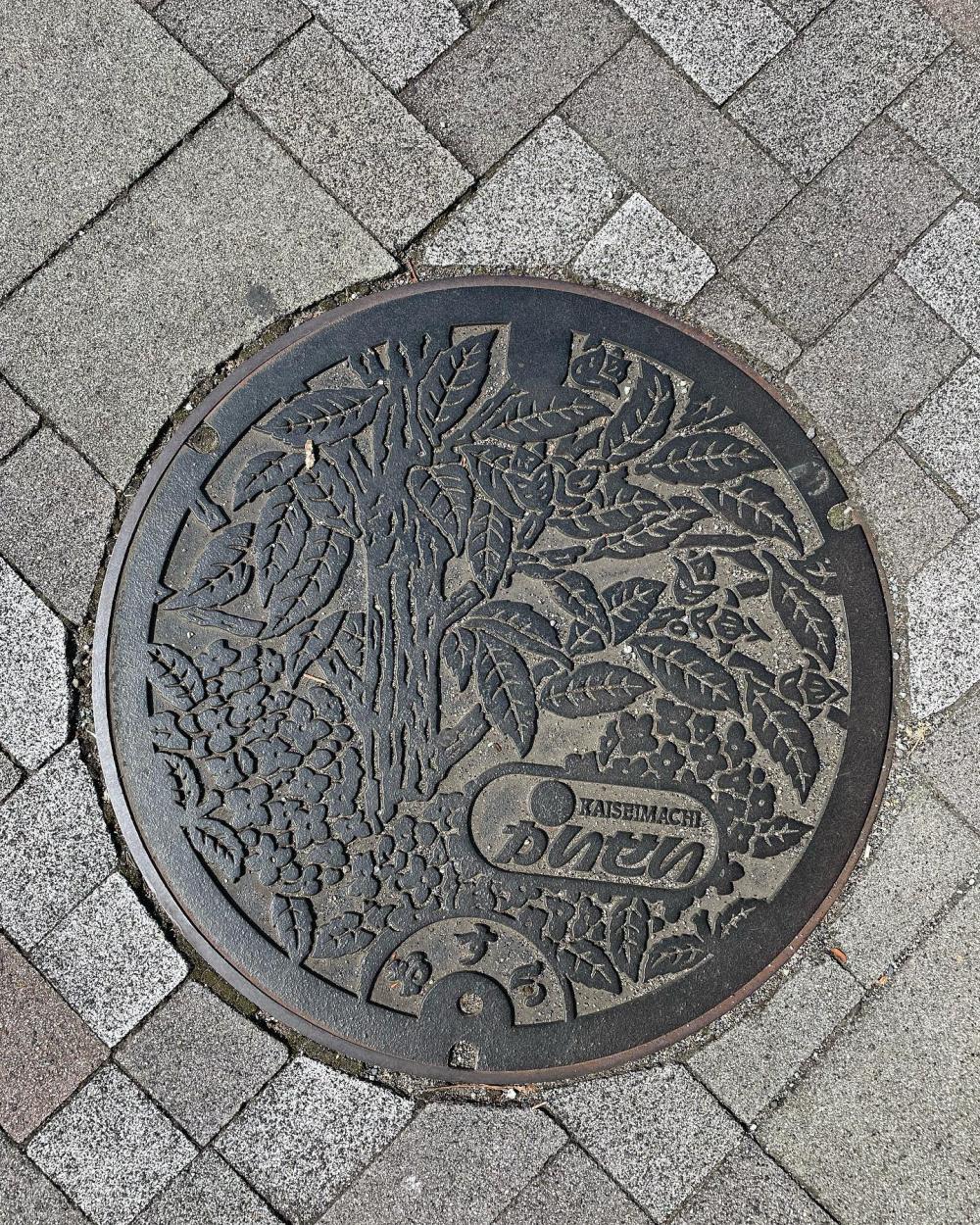 Image12