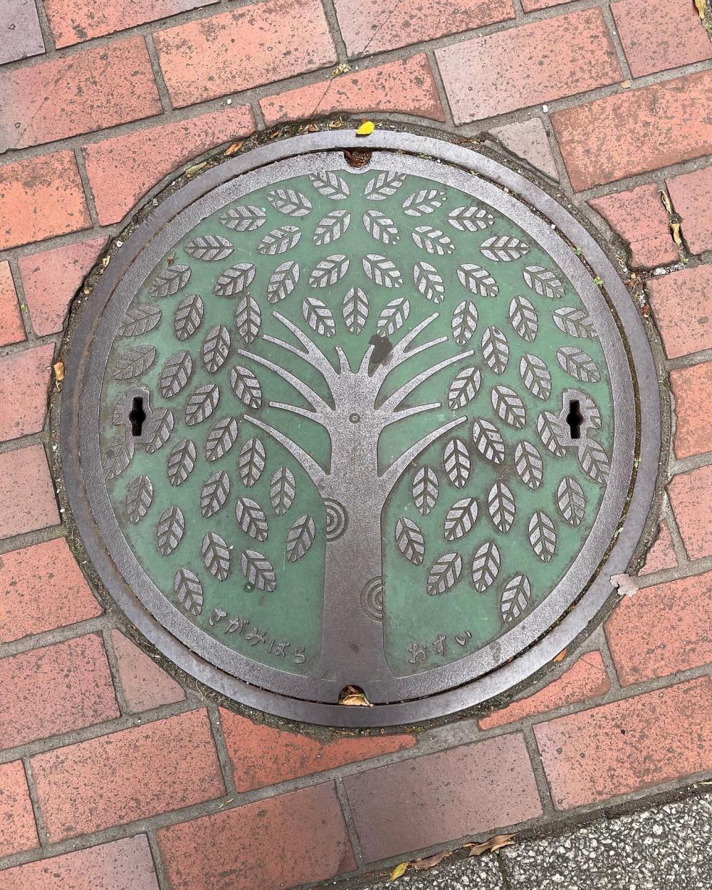 Image7