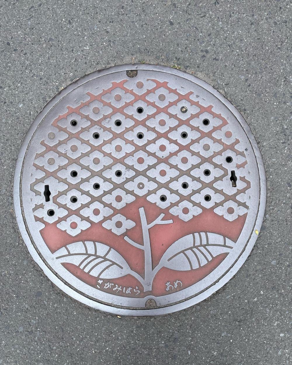 Image6