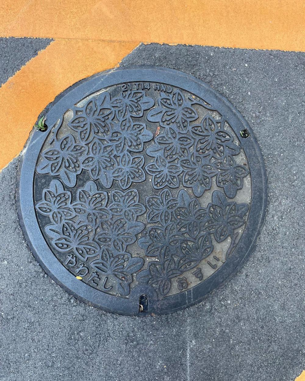 Image8