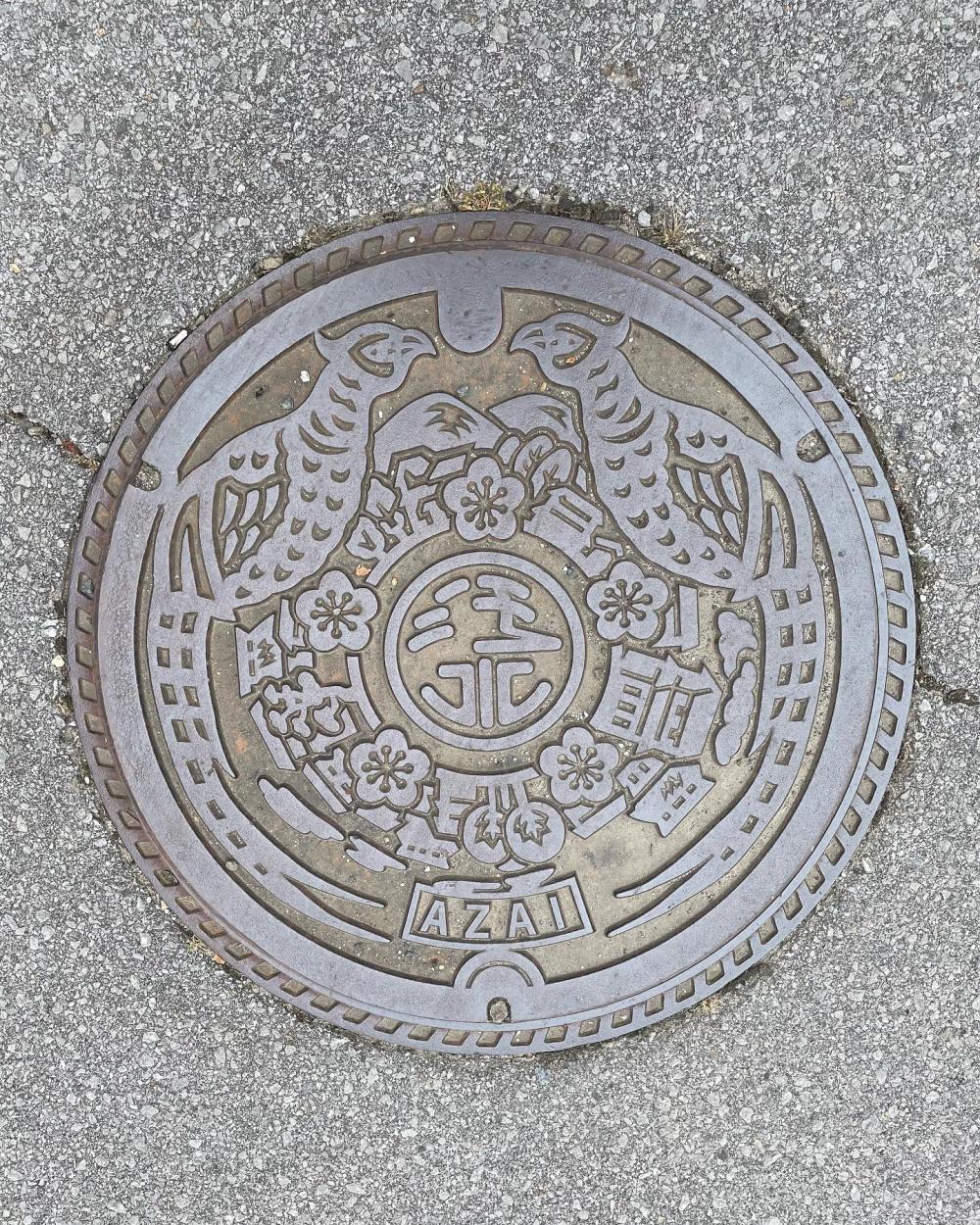 Image13