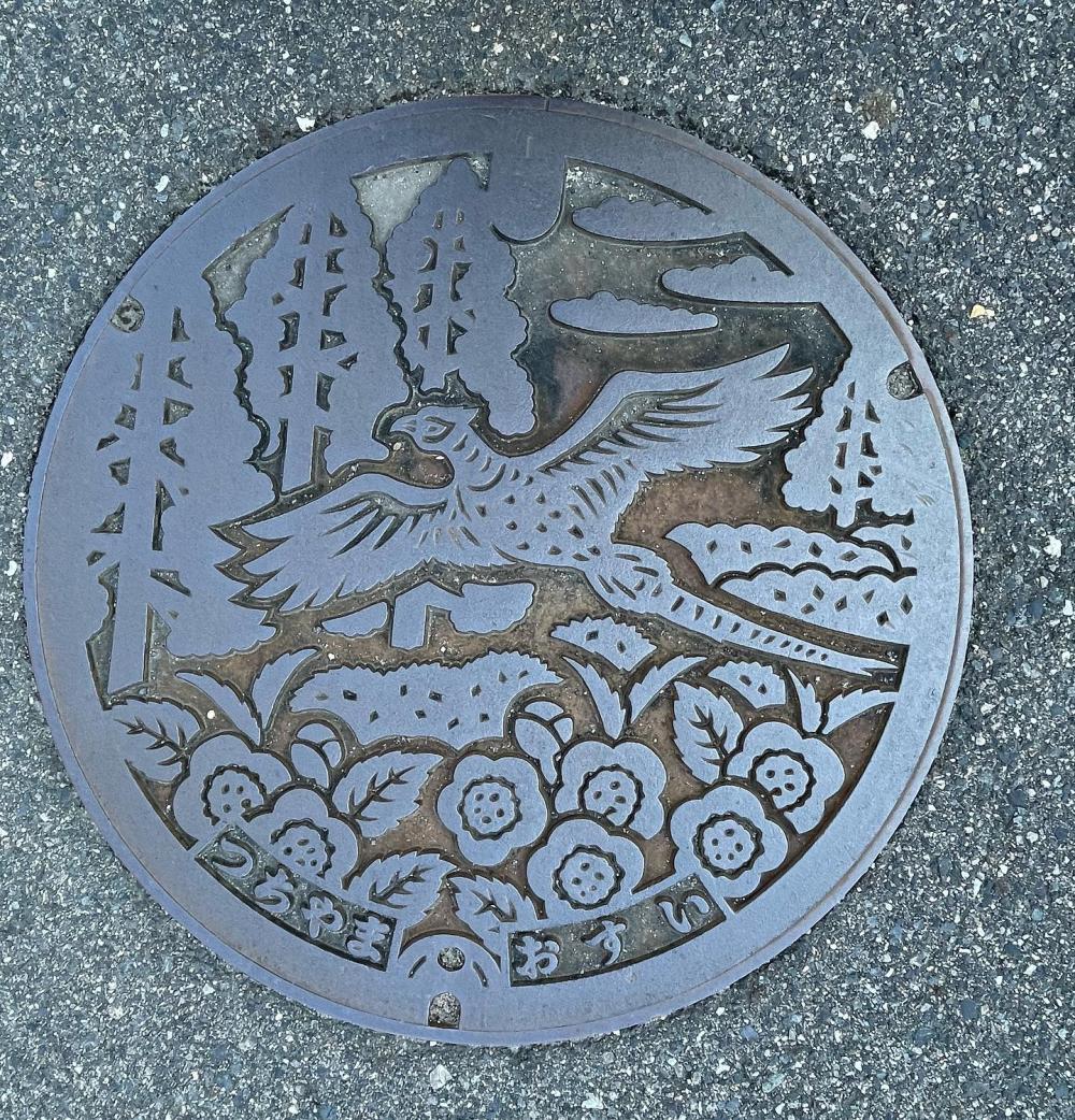 Image12