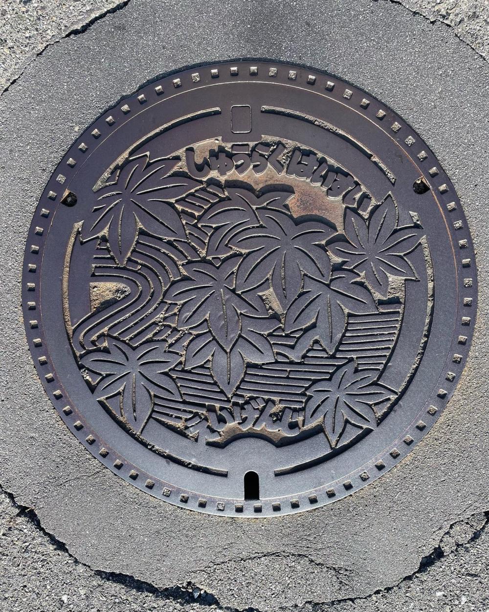 Image6