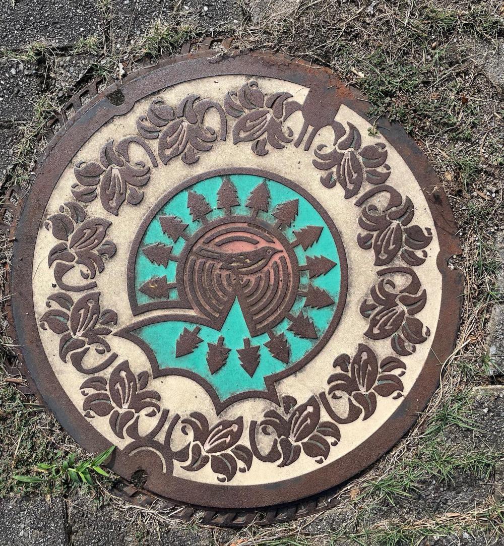 Image4