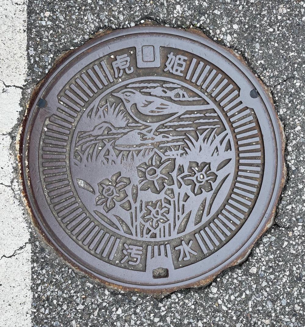 Image14
