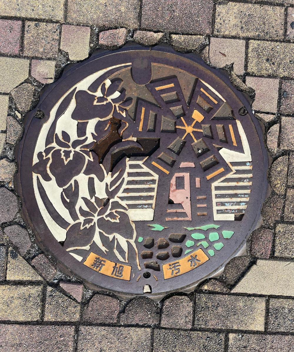 Image6