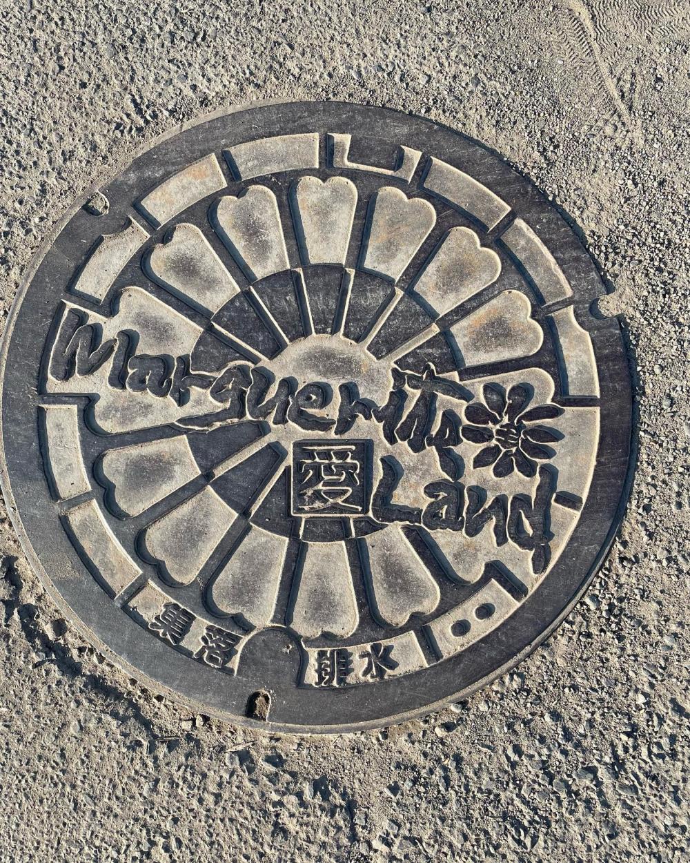 Image7