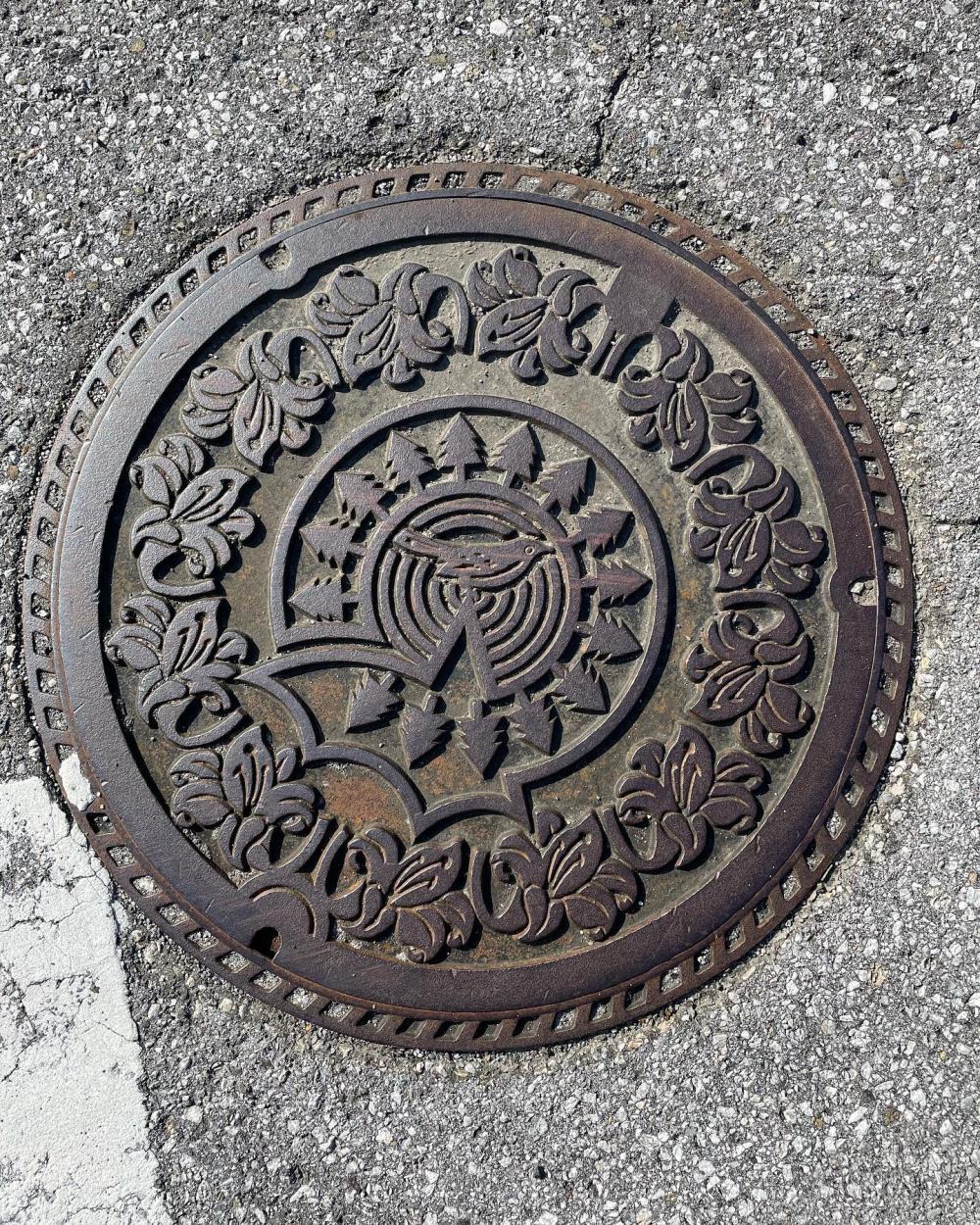 Image5