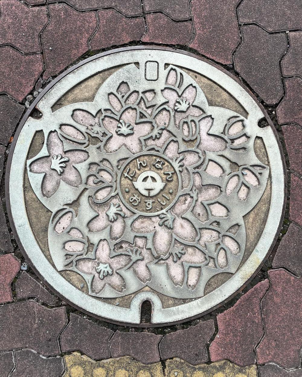 Image16