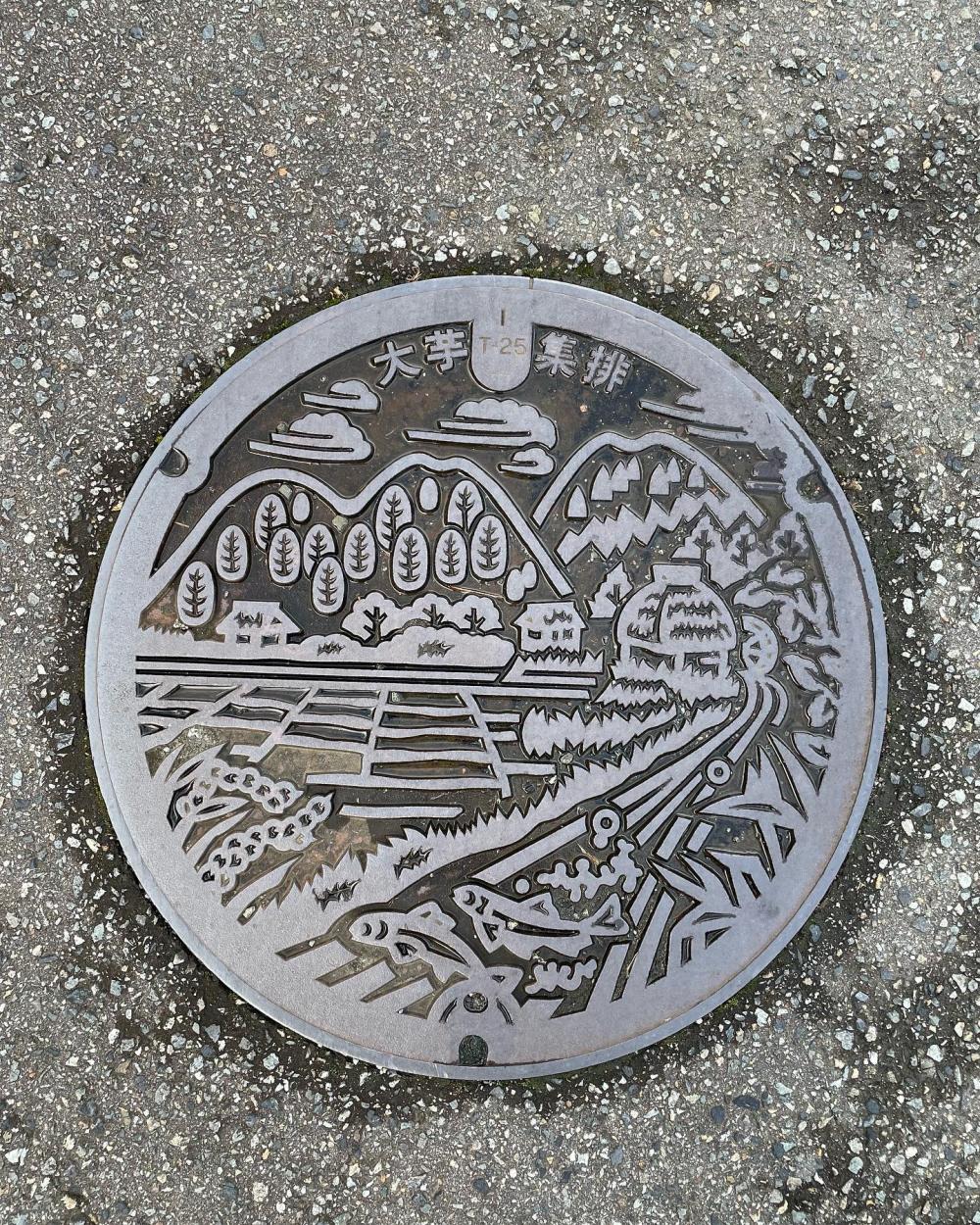 Image4