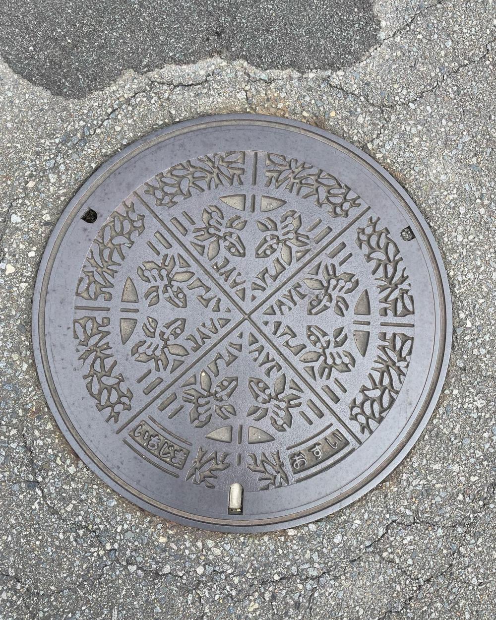 Image5