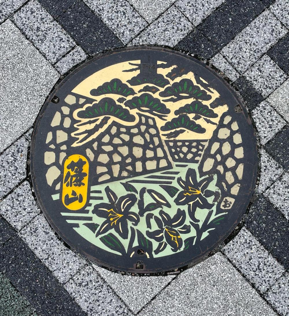 Image1
