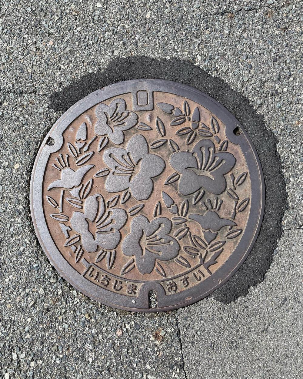 Image4
