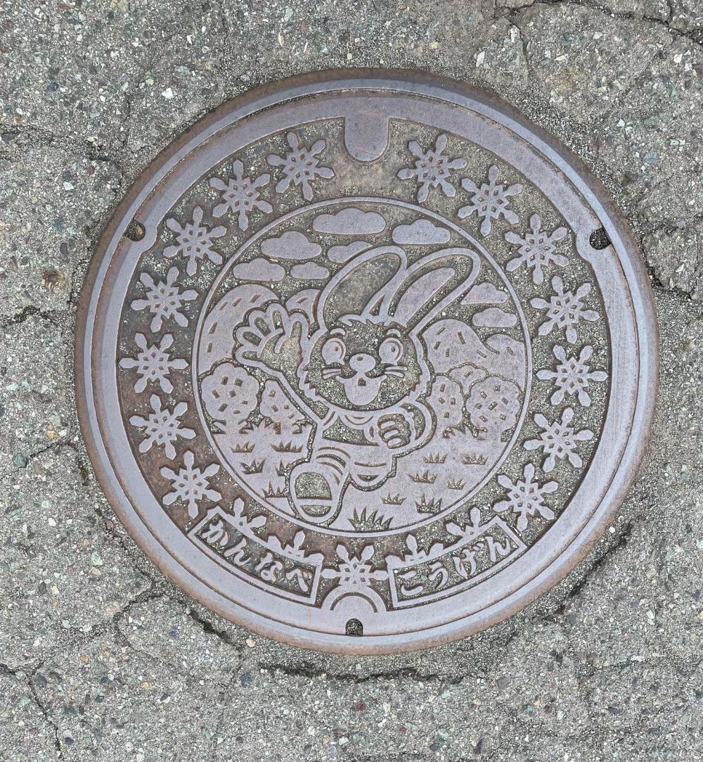 Image8