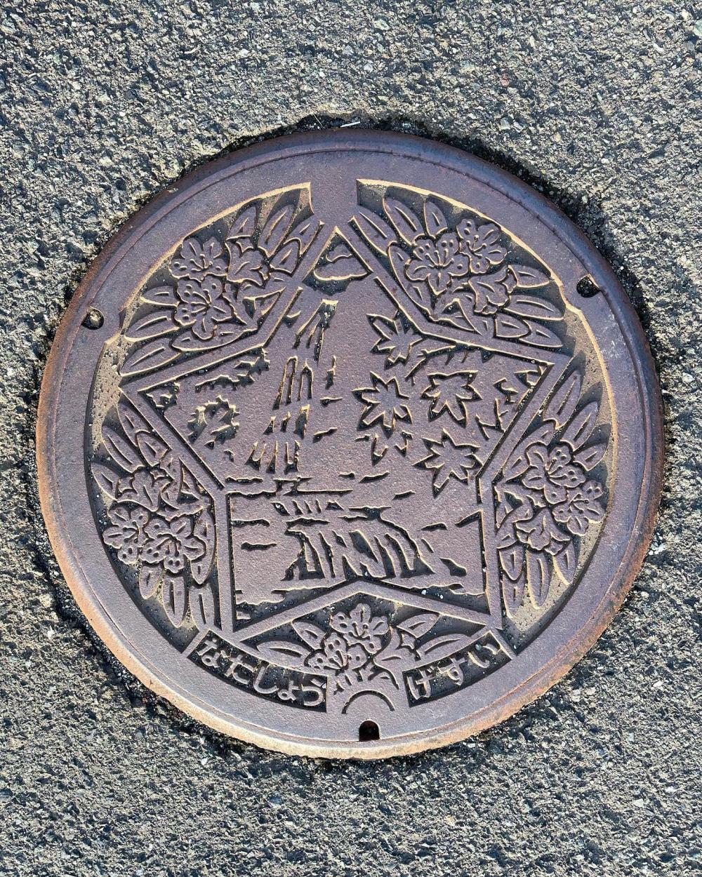 Image19