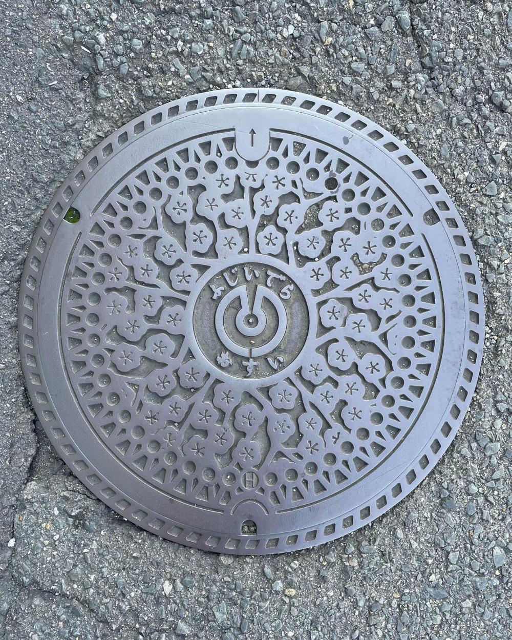 Image4