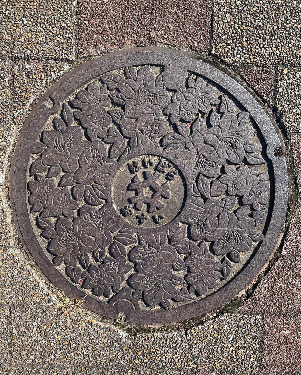 Image13