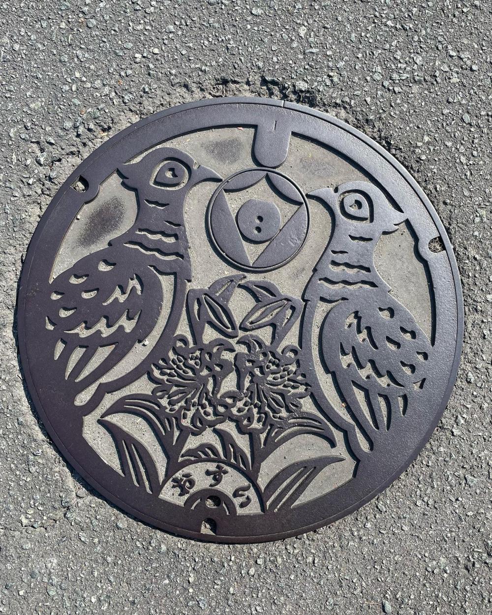 Image6