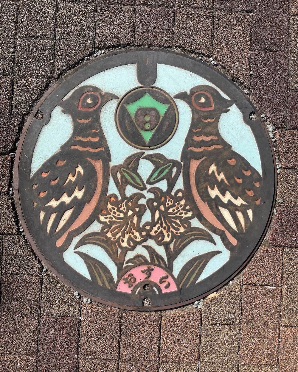 Image5
