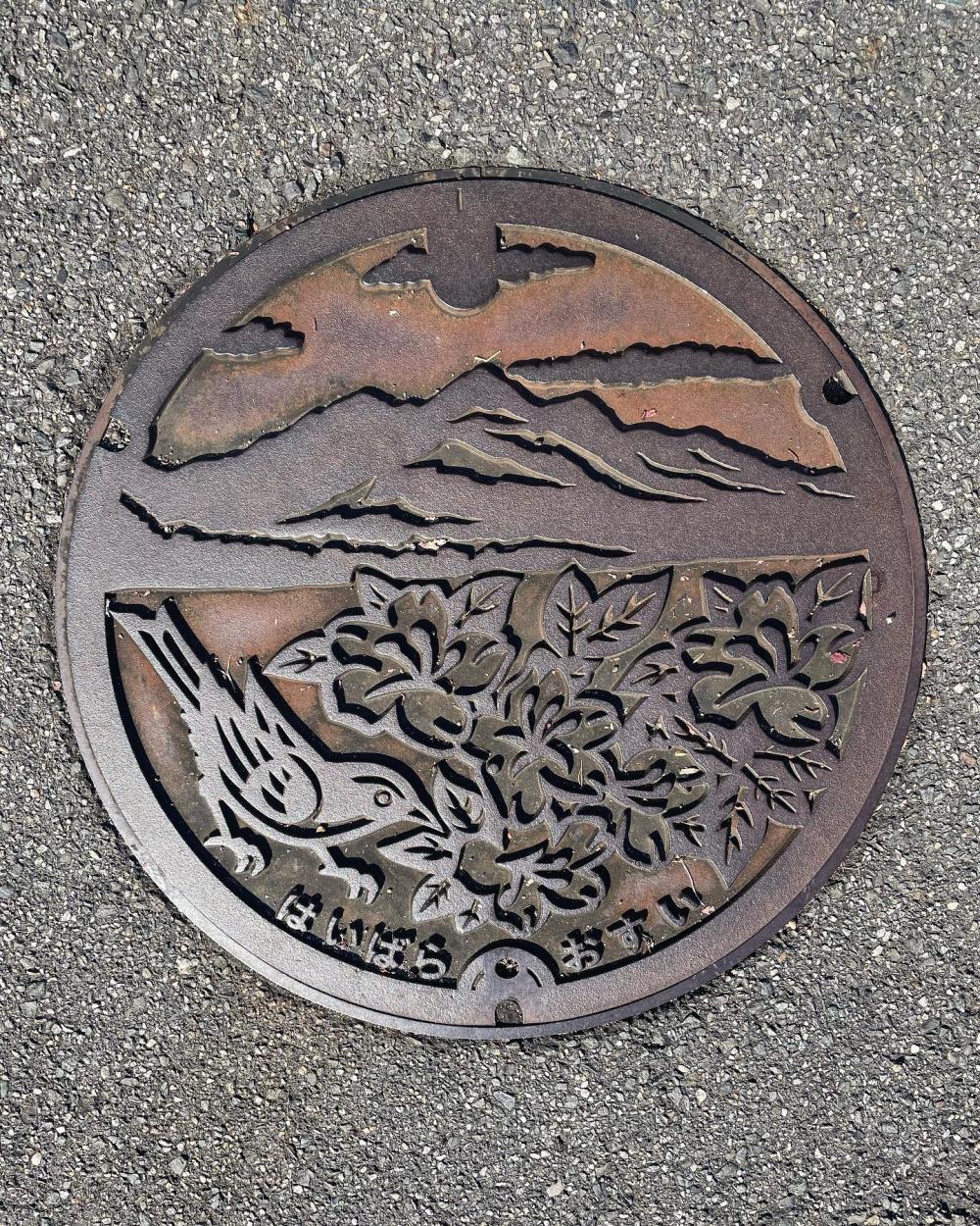 Image12