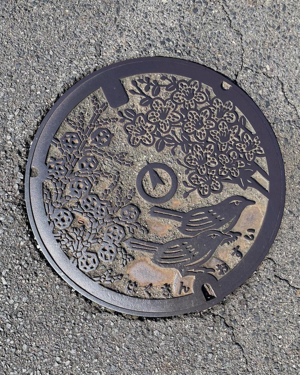 Image7